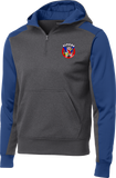 Vipers Colorblock 1/4-Zip Hooded Sweatshirt