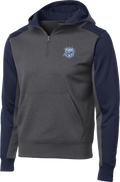 Florida Alliance Colorblock 1/4-Zip Hooded Sweatshirt