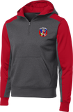 Vipers Colorblock 1/4-Zip Hooded Sweatshirt