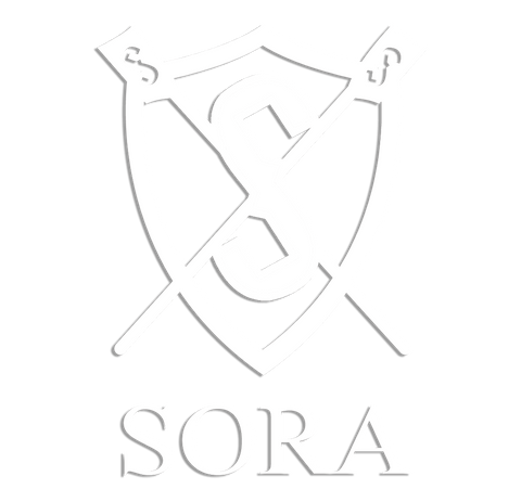 Vinyl South Orlando Rowing Association Logo Car Decal