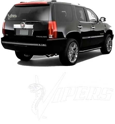 Sarasota Vipers Logo Car Decal
